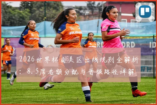 2026世界杯南美区出线规则全解析：8.5席名额分配与晋级路径详解