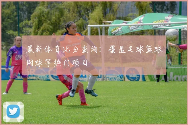 最新体育比分查询:覆盖足球篮球网球等热门项目